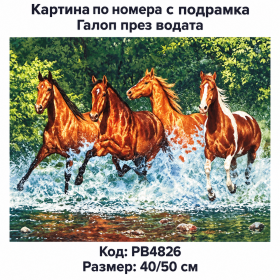 Картина за рисуване по номера "Коне. Галоп през водата" 40х50см с подрамка и красива кутия PB4826