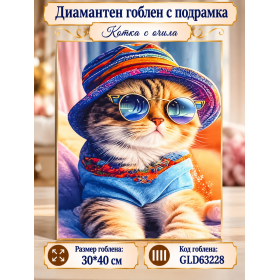 Диамантен гоблен с кристали "Котка с очила" 30х40см с подрамка и подаръчна кутия GLD 63228 Диамантен гоблен с кристали "Котка с очила" 30х40см с подрамка и подаръчна кутия GLD 63228