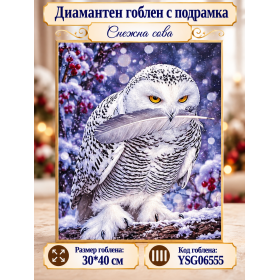 Диамантен гоблен с кристали "Снежна сова" 30х40см с подрамка и подаръчна кутия YSG7665 Диамантен гоблен с кристали "Снежна сова" 30х40см с подрамка и подаръчна кутия YSG7665