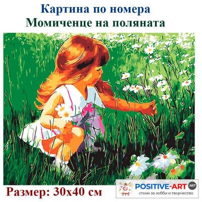 Картина по номера "Момиченце на поляната" 30х40см с подрамка и подаръчна кутия