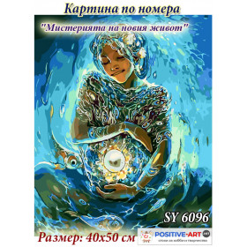 Рисуване по номера. Комплект "Мистерия на новия живот" 40х50см с подрамка и подаръчна кутия. SY 6096. OUTLET