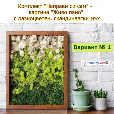 Красив Комплект "Направи си сам" - картина "Жива градина". Вариант 1 с 3 вида мъх
