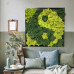 Пано - картина Ин-Ян от скандинавски мъх. 30*30 см