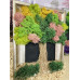 Картина от мъх. 21*26 см. Дървото на живот с 3 вида зелен мъх и златна рамка